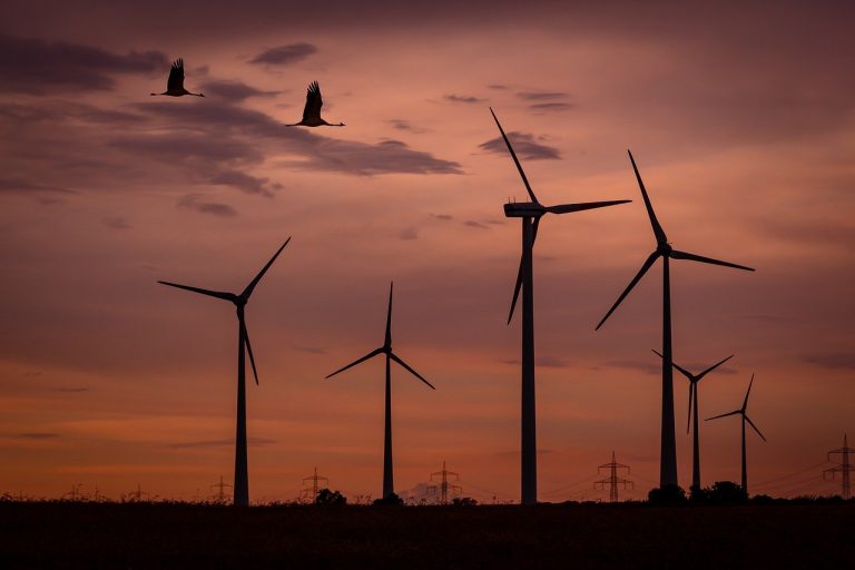 wind park, sunset, birds-1600377.jpg